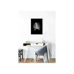 KomarWandbild Feather Black 50x70 cm