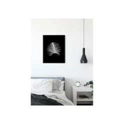 KomarWandbild Feather Black 50x70 cm