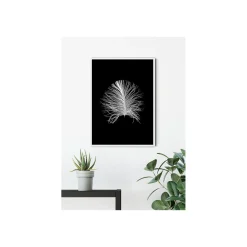 KomarWandbild Feather Black 50x70 cm
