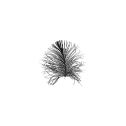KomarWandbild Feather White 50x70 cm