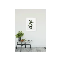 KomarWandbild Ficus Branch 50x70 cm