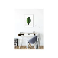 KomarWandbild Ficus Leaf 50x70 cm