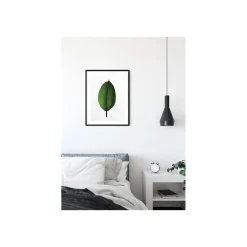 KomarWandbild Ficus Leaf 50x70 cm