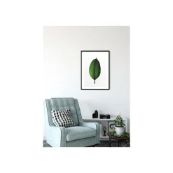 KomarWandbild Ficus Leaf 50x70 cm