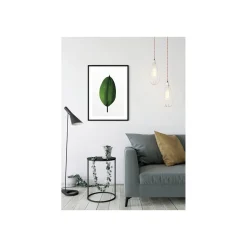 KomarWandbild Ficus Leaf 50x70 cm