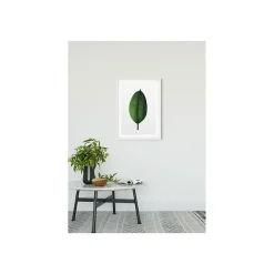 KomarWandbild Ficus Leaf 50x70 cm