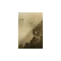 KomarWandbild Golden Light 50x70 cm