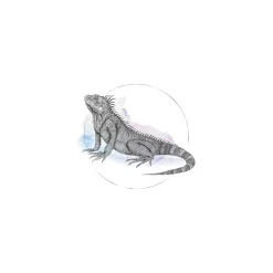 KomarWandbild Iguana Watercolor 50x70 cm