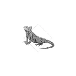 KomarWandbild Iguana White 50x70 cm
