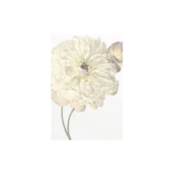 KomarWandbild Illustration Dahlia 40x50 cm