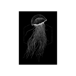 KomarWandbild Jellyfish Black 50x70 cm