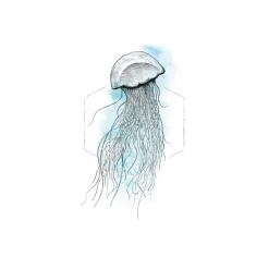 KomarWandbild Jellyfish Watercolor 50x70 cm