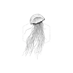 KomarWandbild Jellyfish White 50x70 cm