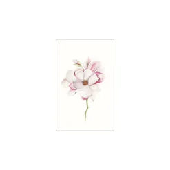 KomarWandbild Magnolia Blossom 40x50 cm