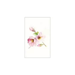 KomarWandbild Magnolia Breathe 40x50 cm
