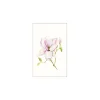 KomarWandbild Magnolia Shine 40x50 cm