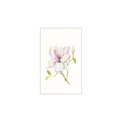 KomarWandbild Magnolia Shine 40x50 cm