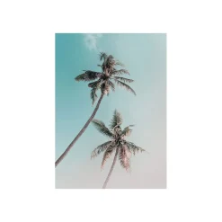 KomarWandbild Miami Palms 50x70 cm