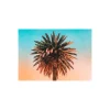 KomarWandbild Palm Tree 70x50 cm