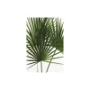 KomarWandbild Palmtree Leaves 40x50 cm