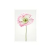 KomarWandbild Poppy 40x50 cm
