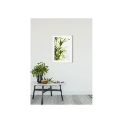 KomarWandbild Reed Leaves- 40x50 cm