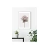 KomarWandbild Rose 50x70 cm