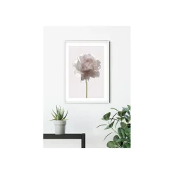 KomarWandbild Rose 50x70 cm