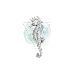 KomarWandbild Sea Horse Watercolor 50x70 cm