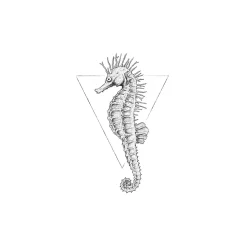 KomarWandbild Sea Horse White 50x70 cm