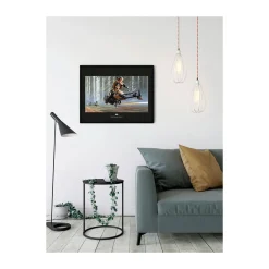 KomarWandbild Star Wars Classic Endor Speeder 50x40 cm