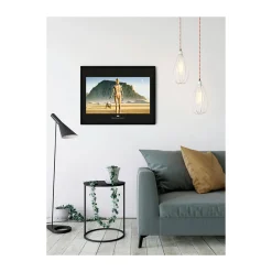 KomarWandbild Star Wars Classic Droids 50x40 cm