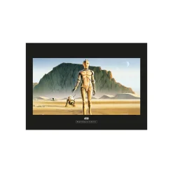 KomarWandbild Star Wars Classic Droids 50x40 cm