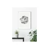 KomarWandbild Succulent Aeonium 50x70 cm