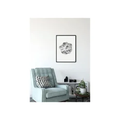 KomarWandbild Succulent Aeonium 50x70 cm