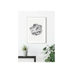 KomarWandbild Succulent Aeonium 50x70 cm