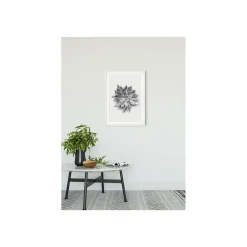 KomarWandbild Succulent Agave 50x70 cm