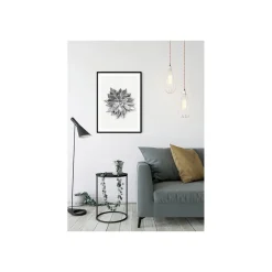 KomarWandbild Succulent Agave 50x70 cm
