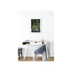 KomarWandbild Succulent Single 50x70 cm