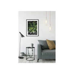 KomarWandbild Succulent Single 50x70 cm