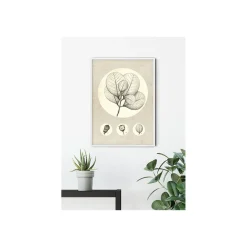 KomarWandbild Transparent Leaf 50x70 cm