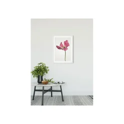 KomarWandbild Tulip 50x70 cm