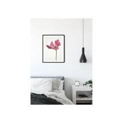 KomarWandbild Tulip 50x70 cm