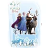 KomarWandtattoo Frozen 2 Forest Spirit 50x70 cm