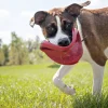 Kong HSZ Flyer Frisbee L rot Dm.22,5cmNaturkatuschuk