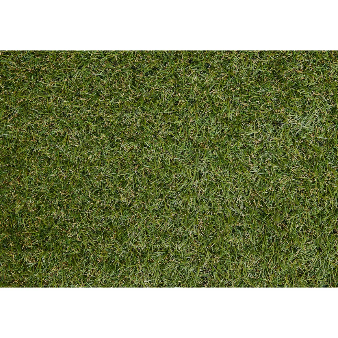 Kunstrasen Chill 100x200cm gruen