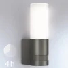 LED-AL L605 anth. 13x8x26 cm 9,5W 180GIP44