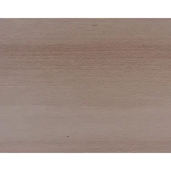 Moebelbauplatte Buche 2630x300x19 mm