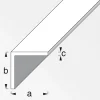 MyTool Winkel 50 x 50 cm 1m silber