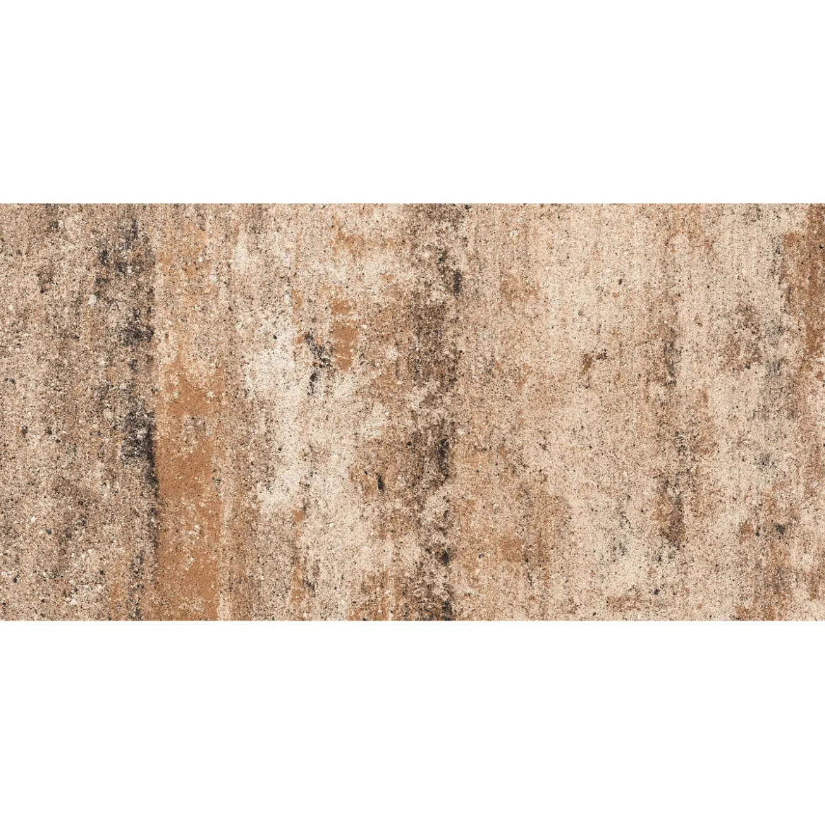 No. 1 Nature Muschelkalk 60x60x4 cm
